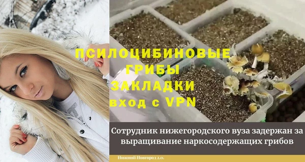 молекула духа Верея