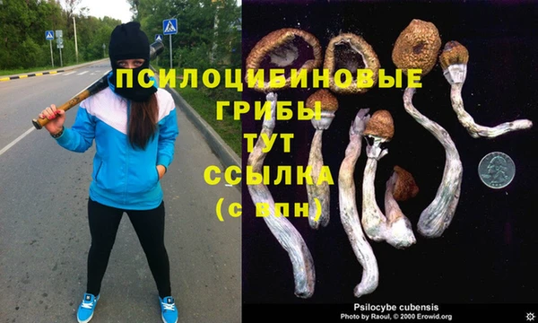марки nbome Вяземский