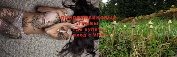 молекула духа Верея