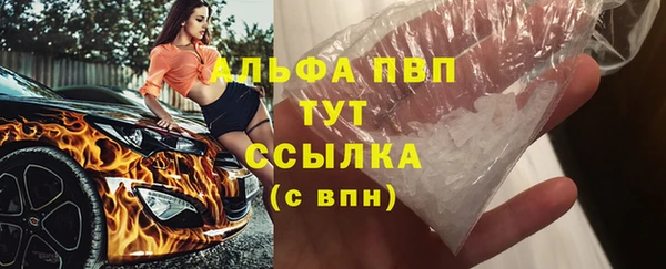 ПСИЛОЦИБИНОВЫЕ ГРИБЫ Вязники