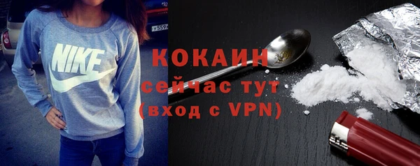 ПСИЛОЦИБИНОВЫЕ ГРИБЫ Вязники