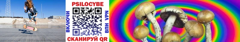 Галлюциногенные грибы Magic Shrooms  Купить где  Улан-Удэ 
